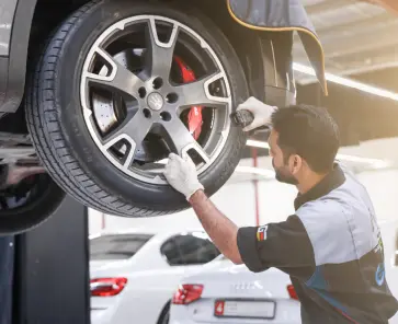 Full Inspection & Diagnosis